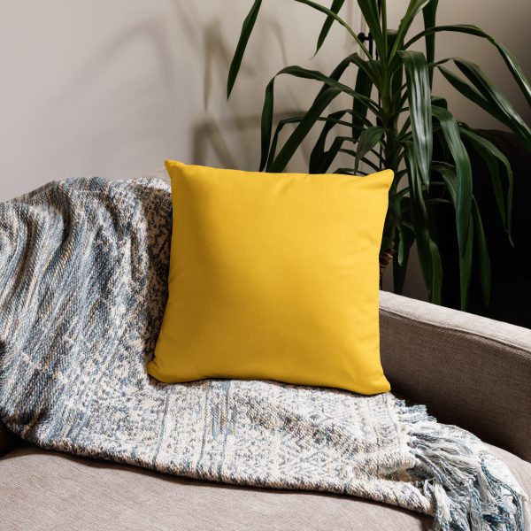 Paco's Secret Mission Pillow - Image 3