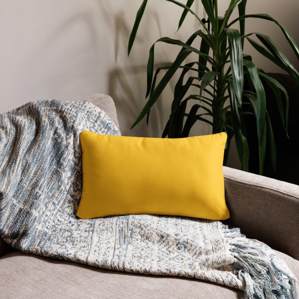 Paco's Secret Mission Pillow - Image 5